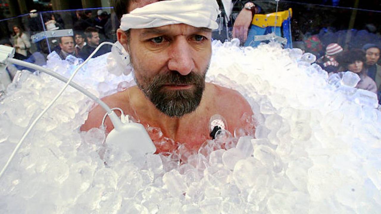 wim hof breathing and the immune system