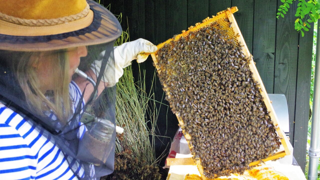 best beekeeping hats