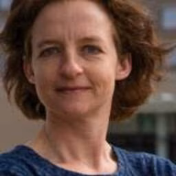 prof.dr. TFC (Tamar) Fischer