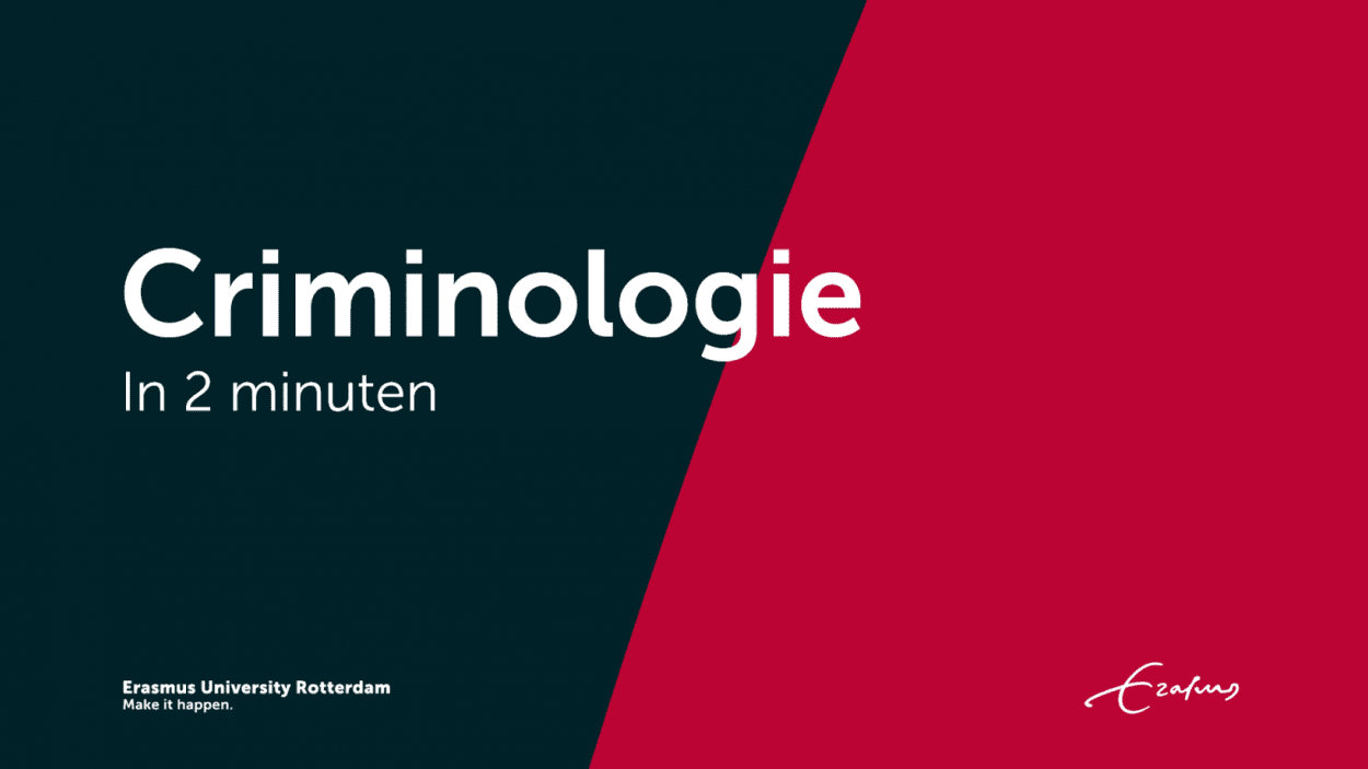 phd criminology netherlands