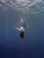 A woman dives upside down into a deep blue sea