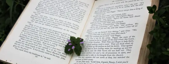 Green leaf on book