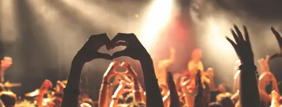 Fans steken hun hand op tijdens een festivalconcert
