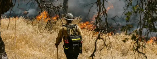 Fire fighter in wildfire