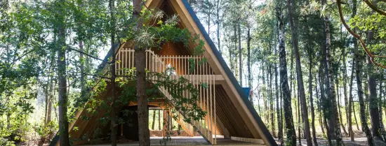 An open wooden camping site in the woods